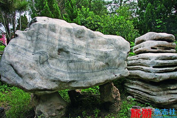 文章详情
