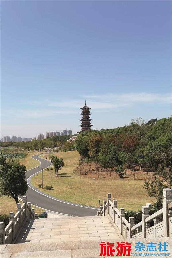文章详情